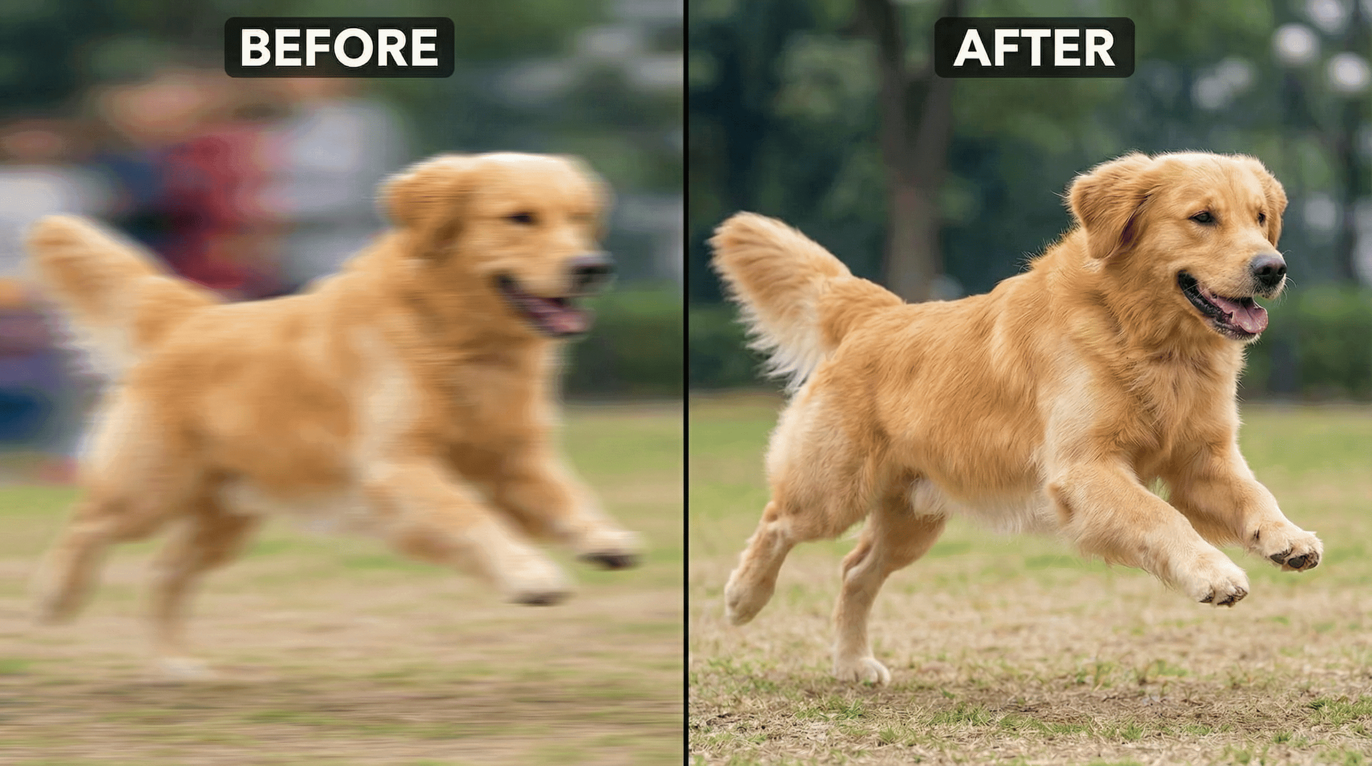 How to Unblur Your Image in Seconds